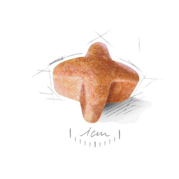 Royal Canin - German Sheperd Adult 11 kg